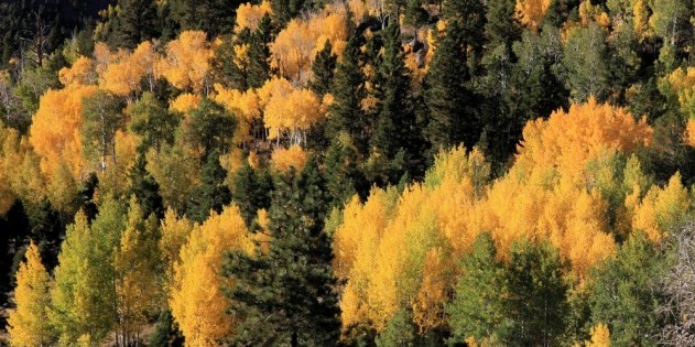 Ein Meer aus Farben: Der Indian Summer in Neuengland
