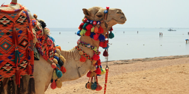 Reiten am Strand