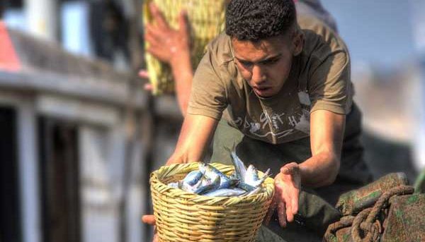 Fischfang am Hafen von Agadir