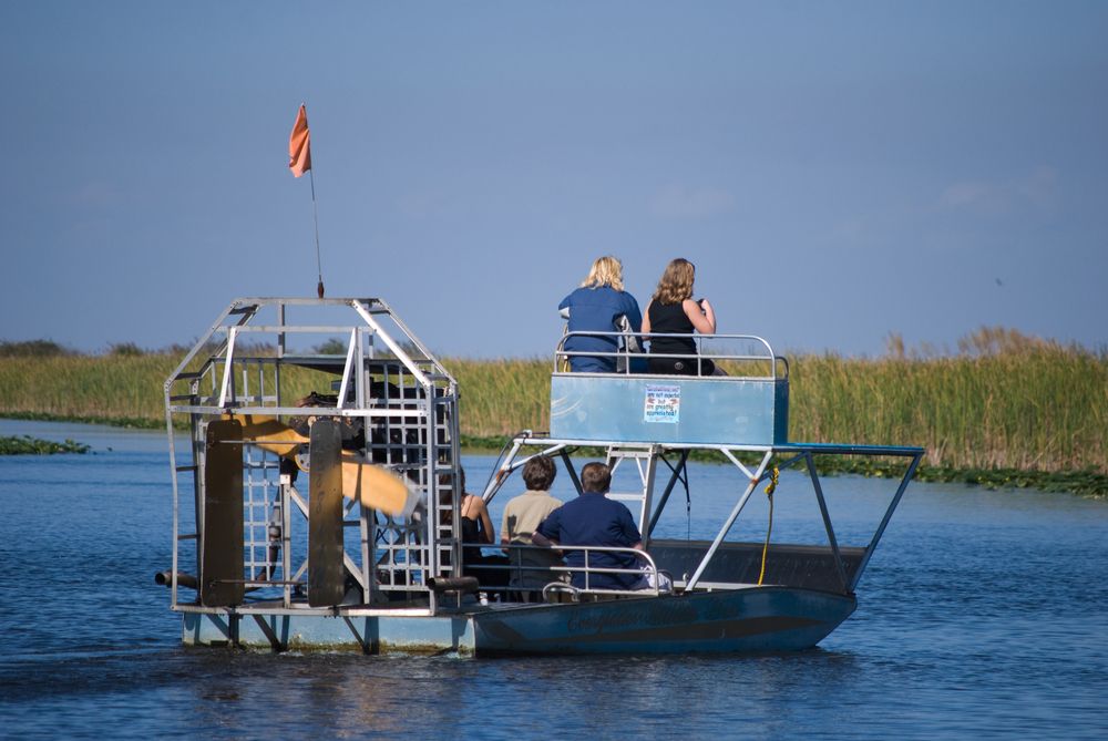 Die Everglades in Florida