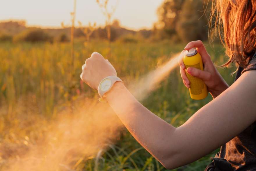 Insektenspray