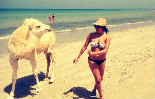 Bekanntschaft mit einem Kamel am Strand...