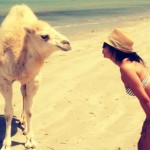 Frau mit Kamel am Strand
