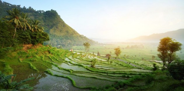 Exotisch, idyllisch, wunderschön - das ist Bali