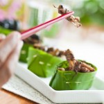 Insekten essen