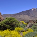 Pico del Teide auf Teneriffa in Spanien