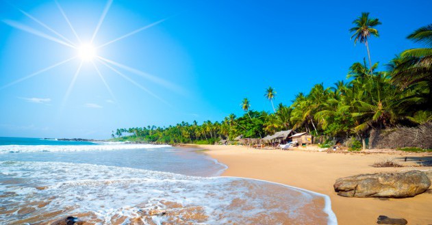 Sri Lanka: palmengesäumte Strände