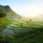 Landschaft in Bali in Indonesien