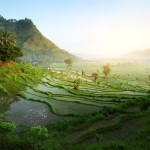 Landschaft in Bali in Indonesien