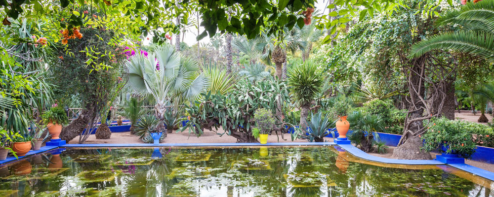 Jardin Majorelle
