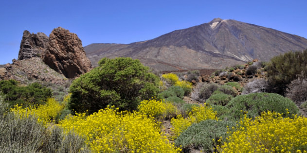 Pico del Teide auf Teneriffa in Spanien