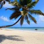 Strand in Sansibar