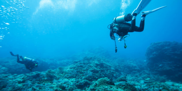 Zwei Taucher im Meer