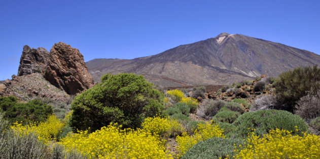 Wandern auf Teneriffa