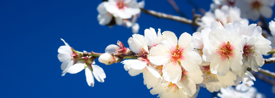 Urlaub im April: Die besten Ziele