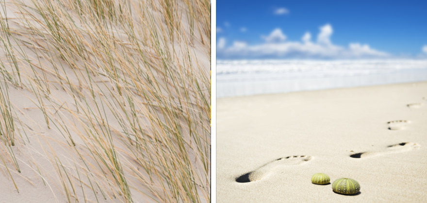 Amrum