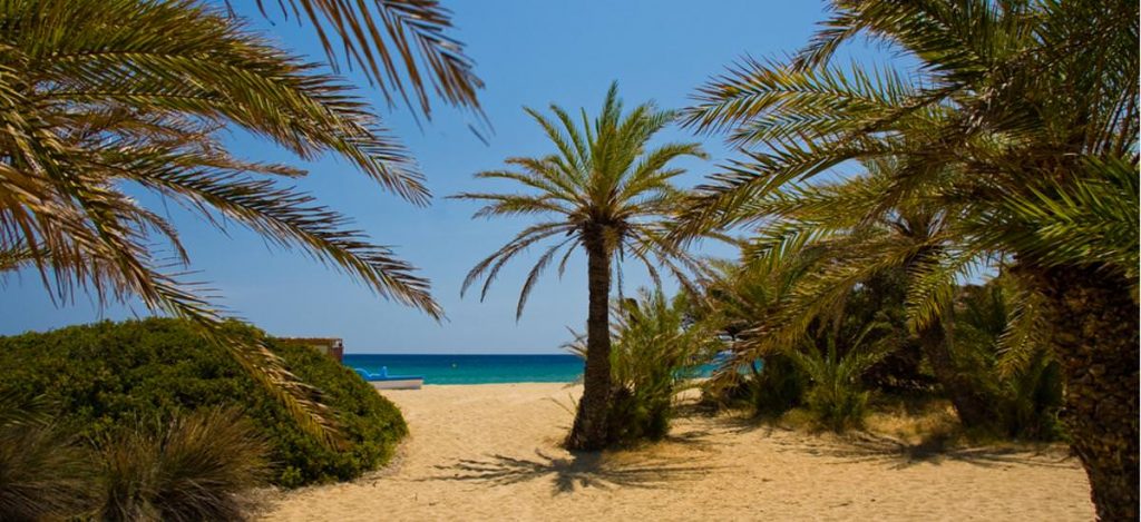 Palmenstrand Vai