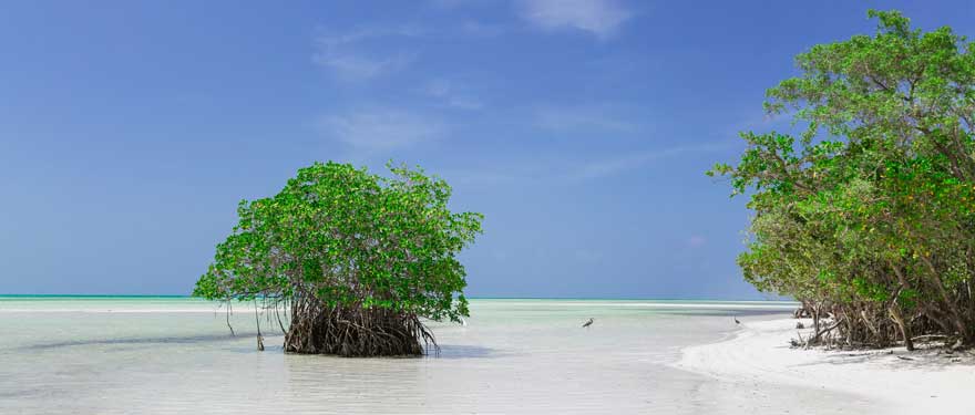 Cayo Coco auf Kuba