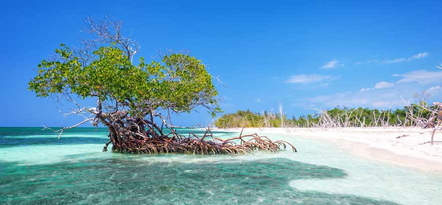 Cayo Levisa auf Kuba