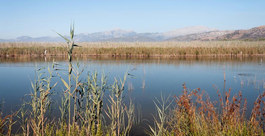 Nationalpark S'Albufera