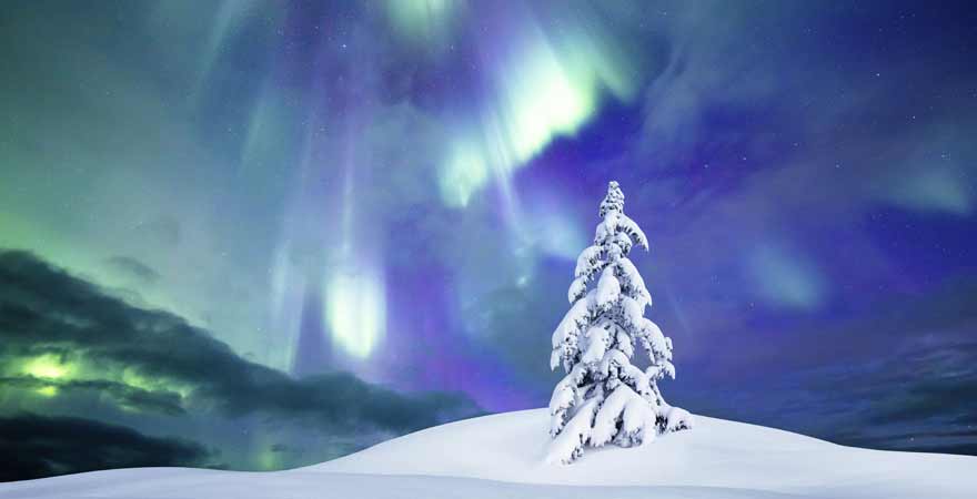 Nordlichter in Norwegen