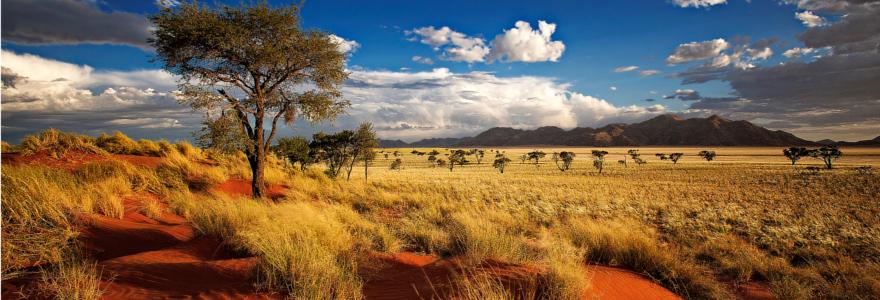 namibia steppe