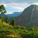Landschaft in Sri Lanka