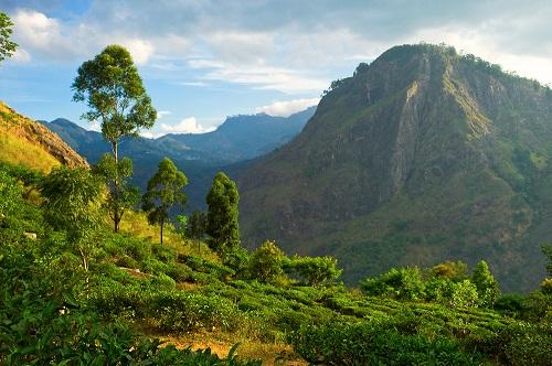 Impfungen und medizinische Hinweise für Urlaub in Sri Lanka