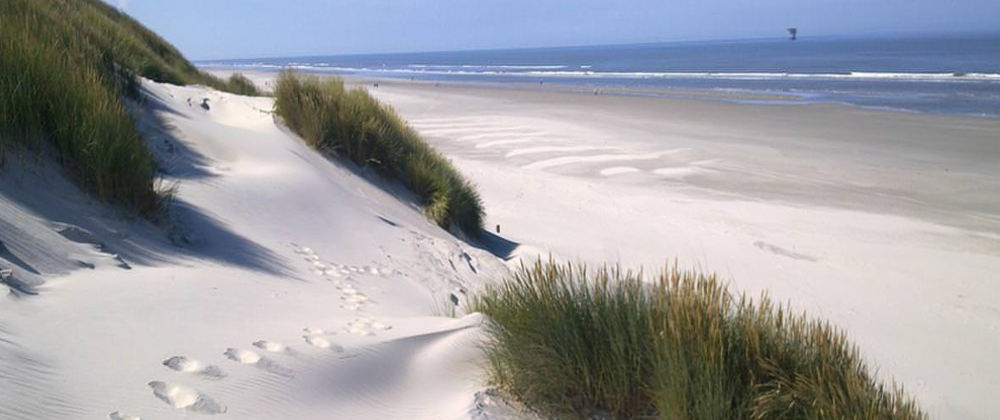 Nordseestrand bei Amsterdam