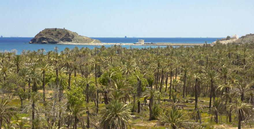 Landschaft Fujeirah
