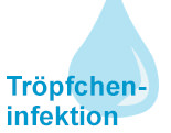 Erklärung Meningokken