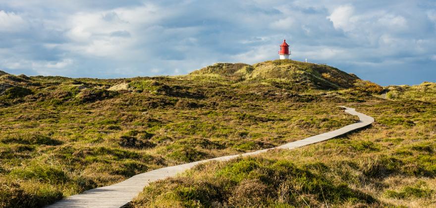 Insel Amrum 