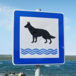 Schild mit Hund am Strand