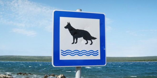Mit dem Hund nach Kroatien: Unsere Reisetipps