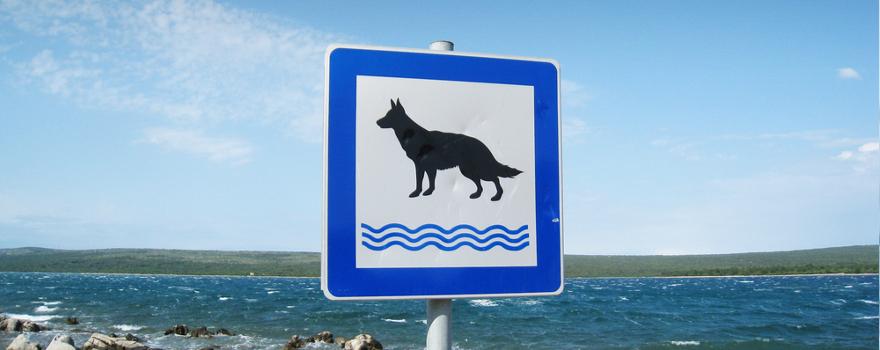 Schild mit Hund am Strand