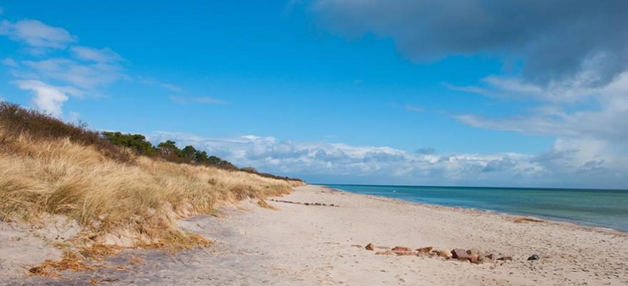 Hundestrand in Marielyst