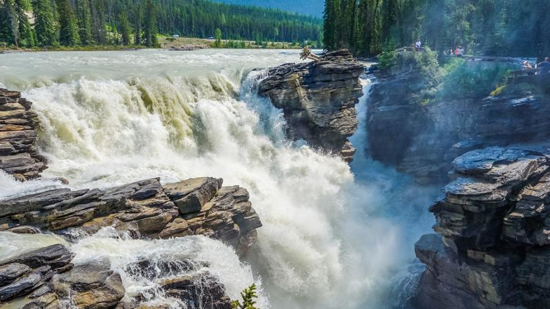 Athabasca Wasserfaelle in Kanada
