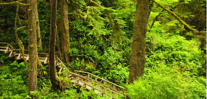 Pacific Rim Nationalpark