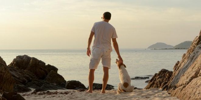 Mit dem Hund nach Italien: Unsere Reisetipps