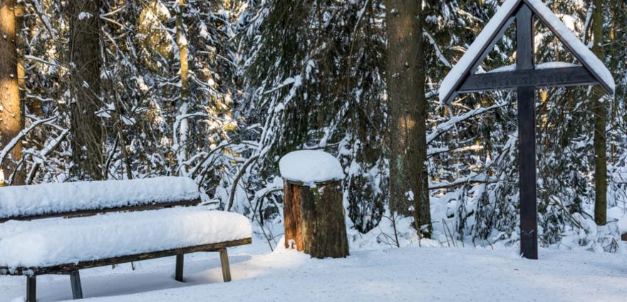 Winter Nationalpark Eifel