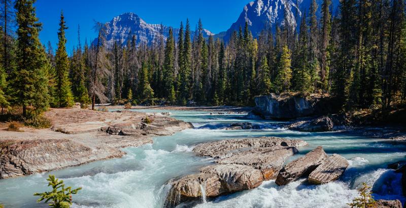 Yoho Park