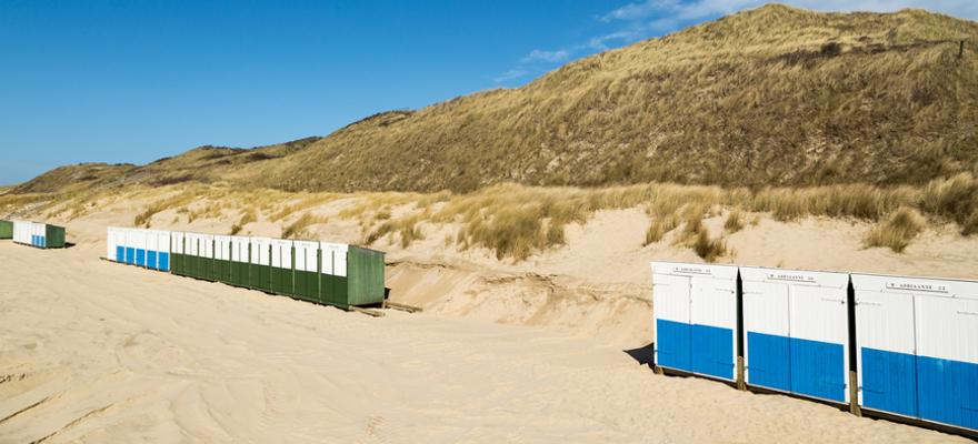 Hundestrand in Zouteland Holland