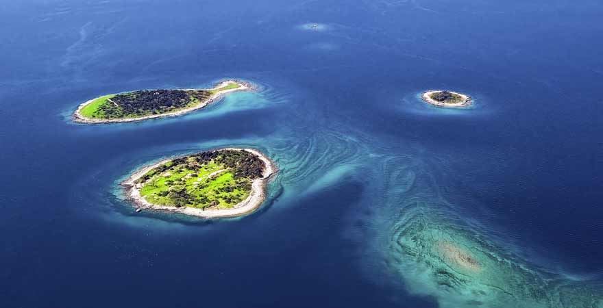 Brijuni Inseln in Kroatien
