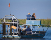Flussfahrt everglades nationalpark