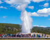 Geysire Yellowstone nationalparl