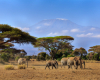 Kenia