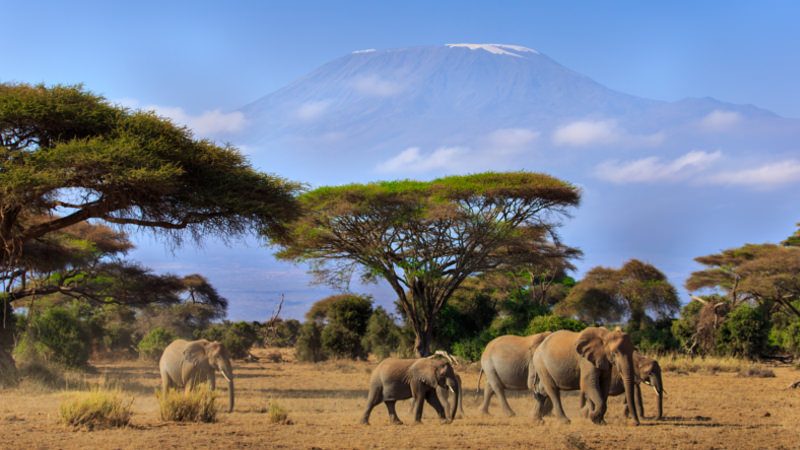 Kenia