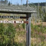 Nationalpark Bayerischer Wald in Deutschland