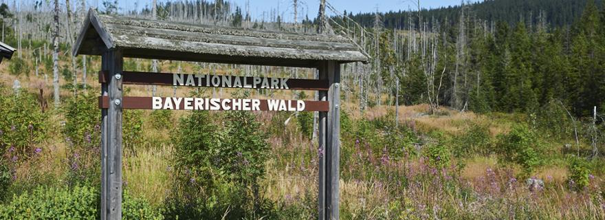 Einen Urlaub wert: Der Nationalpark Bayerischer Wald