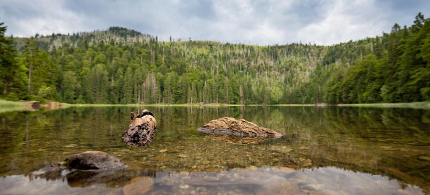 Rachelsee bayerischer Wald